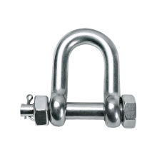 D Shackle SS With Safety Screw Collar Pin